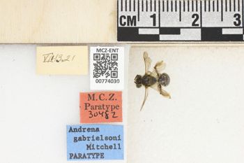 Media type: image;   Entomology 774030 Aspect: Labels